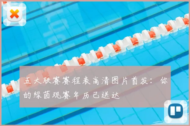 五大联赛赛程表高清图片首发：你的绿茵观赛年历已送达