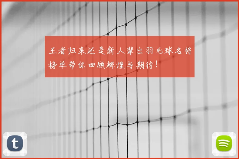 王者归来还是新人辈出羽毛球名将榜单带你回顾辉煌与期待!